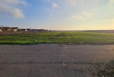 Teren de 2813 mp, în Vânători - 3