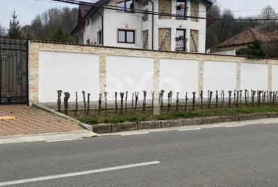 Casă individuală cu 10 camere cu Teren 20875 Mp în Păușești - 5