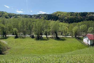 Spațiu comercial, în Făget - 3