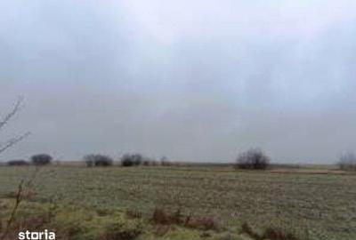 Teren de 6000 mp, în Ciocârlia - 9