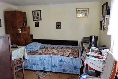 Casă cu Teren 558 Mp în Ișalnița - 4