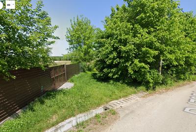 Teren Construcții intravilan de 3892 mp, în Tinca - 2
