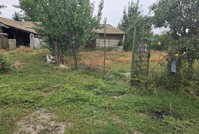 Casă cu 5 camere cu Teren 1772 Mp în Mavrodin