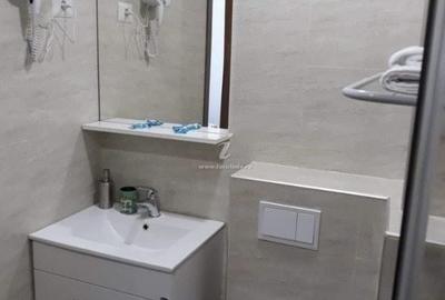 Apartament cu 2 camere decomandat în Nord - 7
