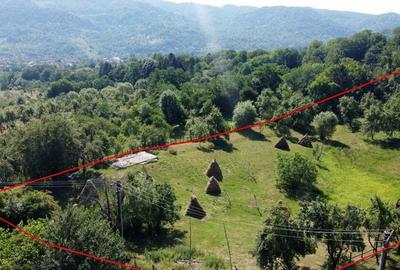 Teren de 6348 mp, în Corbeni - 10