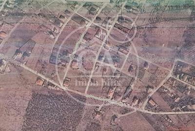 Teren de 793 mp, în Paleu - 1