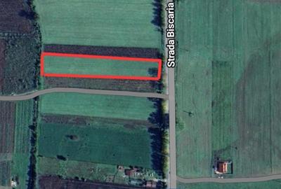 Teren de 3500 mp, în Simeria - 1