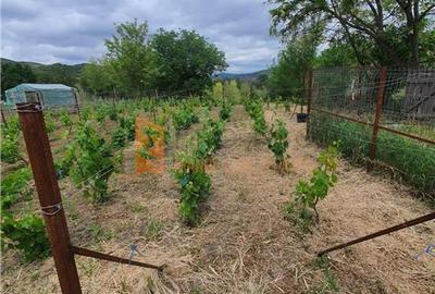 Teren intravilan de 1717 mp, în Beceni - 7
