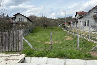 Teren de 9140 mp, în Aninoasa - 6
