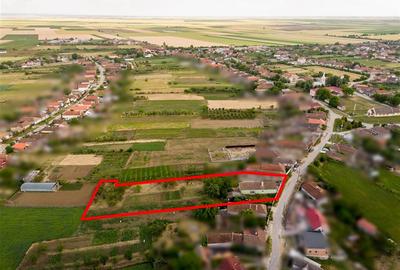 Casă cu 4 camere cu Teren 2700 Mp în Girișu de Criș - 35