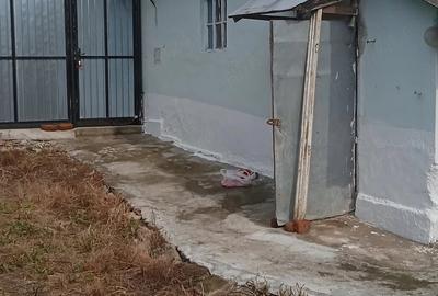 Casă cu Teren 5000 Mp în Miheleu