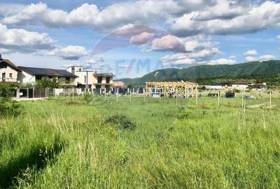 Teren Construcții intravilan de 1000 mp, în Cristian - 2