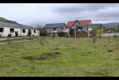 Teren de 6000 mp, în Calvini - 1