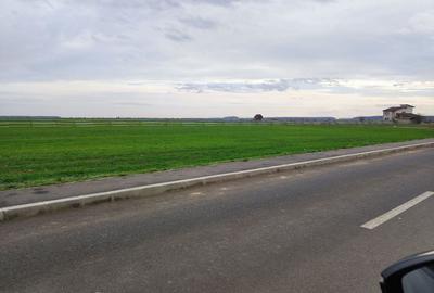 Teren de 5000 mp, în Brănești - 2
