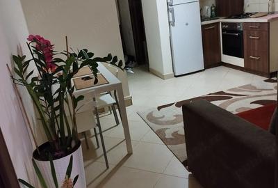 Apartament cu 2 camere decomandat în Apărătorii Patriei - 6