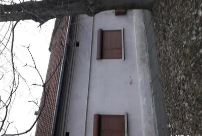 Teren de 2200 mp, în Fratelia - 4