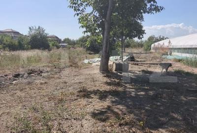 Casă cu 3 camere cu Teren 1435 Mp în Central