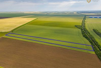 Teren agricol extravilan de 44900 mp, în Aradul Nou - 2