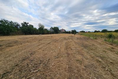 Teren agricol intravilan de 1600 mp, în Samurcași - 8