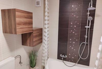 Apartament cu 3 camere decomandat în Nufărul - 3