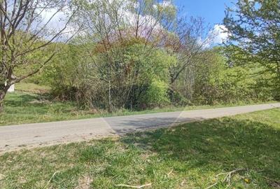 Teren agricol intravilan de 1700 mp, în Borod - 6
