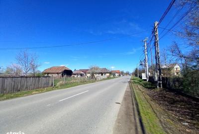 Casă cu Teren 6500 Mp în Mireșu Mare - 4