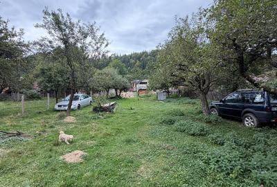 Teren de 1000 mp, în Lerești