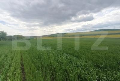 Teren de 52600 mp, în Unirea - 3
