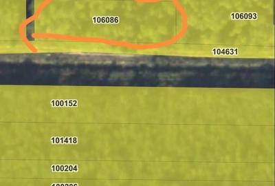 Teren de 1600 mp, în Voila - 2