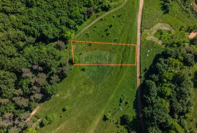Teren agricol extravilan de 1375 mp, în Cristian - 1
