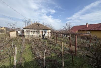 Casă cu 3 camere în Central