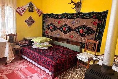 Casă cu 3 camere cu Teren 1700 Mp în Bicazu Ardelean - 6