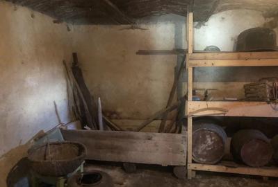 Casă cu 3 camere cu Teren 1900 Mp în Jina