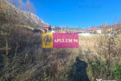 Teren de 14969 mp, în Bușteni - 16