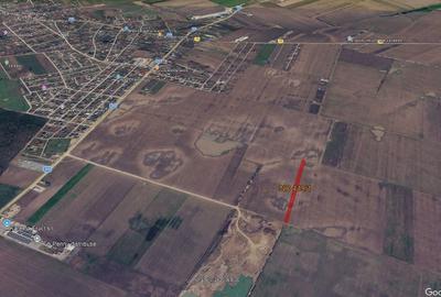 Teren de 4995 mp, în Dascălu - 2