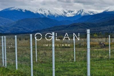 Teren Construcții extravilan de 2400 mp, în Est - 1