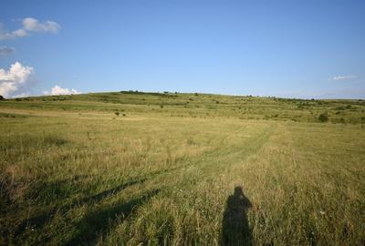 Teren agricol extravilan de 5800 mp, în Chinteni - 6