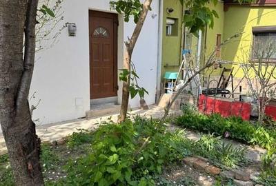 Garsonieră în Elisabetin - 1