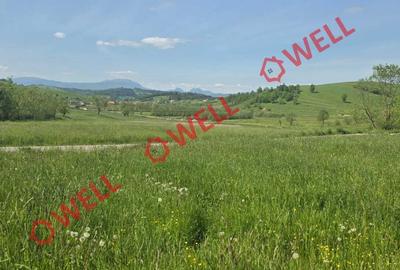 Teren intravilan de 3267 mp, în Barcani - 3
