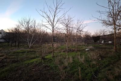 Casă cu Teren 2156 Mp în Dudeștii Vechi