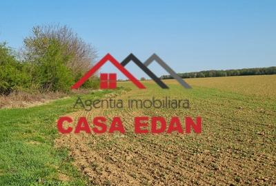 Teren agricol extravilan de 5000 mp, în Urleta - 4