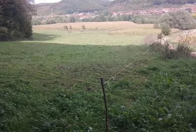 Teren de 5600 mp, în Nord - 5