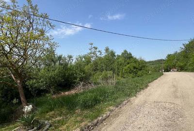 Teren în Comeat - 5