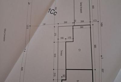 Casă cu 3 camere în Moara - 1