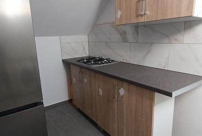Apartament cu 10 camere în Ion Creangă - 5
