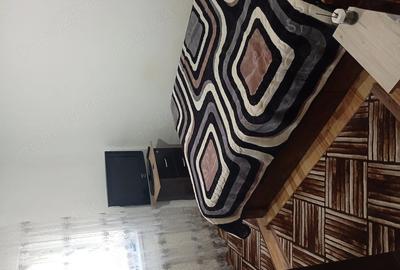 Apartament cu 2 camere decomandat în Broșteni - 10