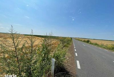 Teren de 10300000 mp, în Biled
