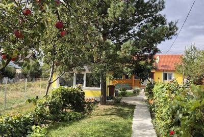 Casă cu 3 camere în Rediu