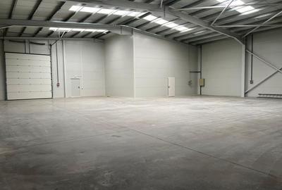 Spațiu industrial, de 595 mp, în Rudeni - 9