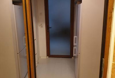 Apartament cu 2 camere decomandat în Lujerului - 4